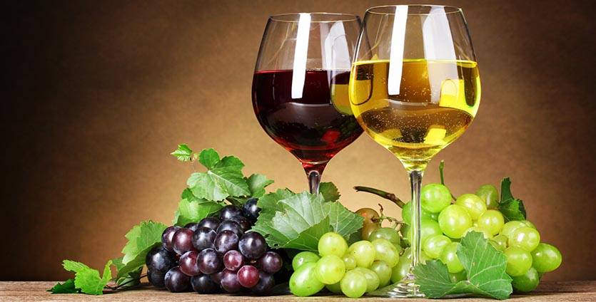 Как проверить качество вина | блог сомелье