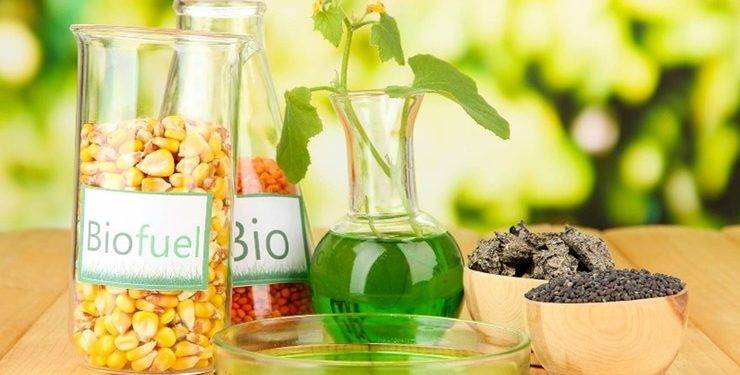 Биотопливо для камина: виды биотоплива, его свойства + как выбрать и как сделать своими руками
