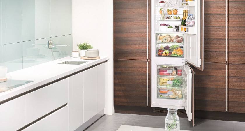 7 лучших холодильников lg