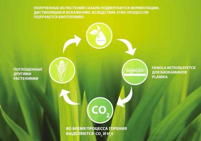 Как сделать биотопливо в домашних условиях?