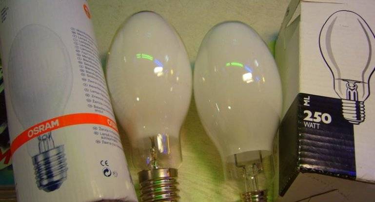 Виды и принцип работы современных электрических бытовых ламп освещения