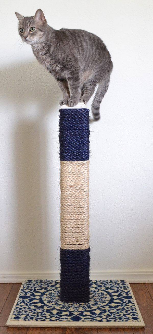 Когтеточка для кошек своими руками: основной способ уберечь поверхности в доме