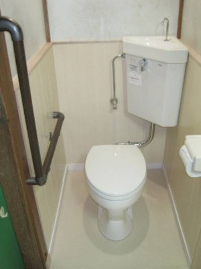 6 идей для дизайна маленького туалета + фото