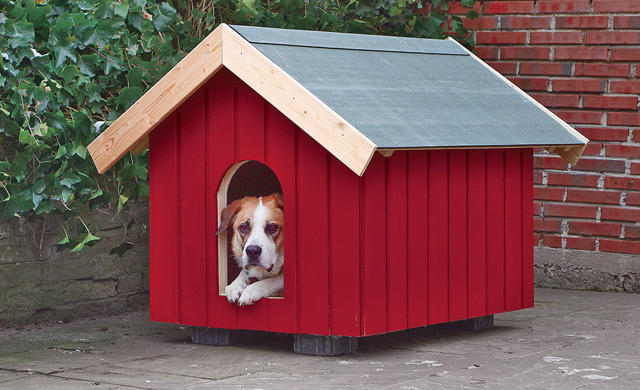 Конура для собаки своими руками: чертежи и размеры деревянной будки для собаки