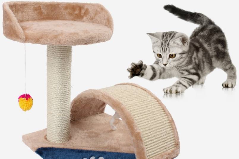Когтеточка для кошек своими руками: основной способ уберечь поверхности в доме