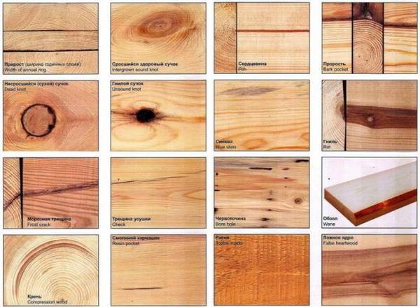 Из какой древесины лучше строить дом?