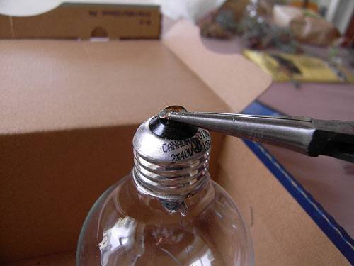 Как сделать террариум в лампочке: пошаговая инструкция, инструменты