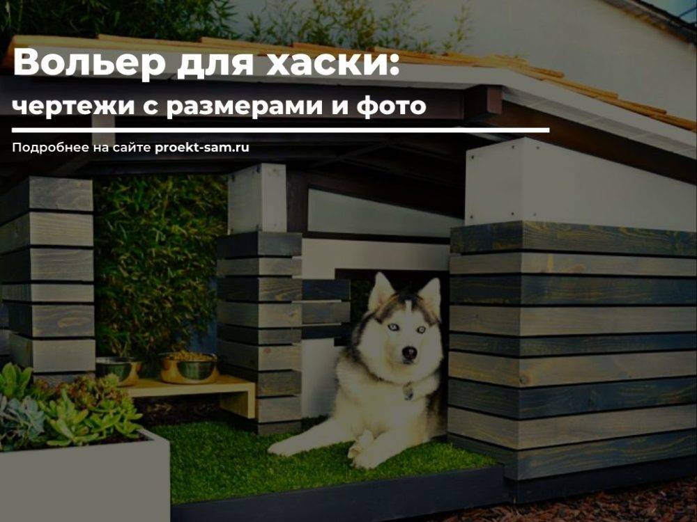 Вольер для собаки: 150 фото места постройки, выбор материалов, назначение и виды вольеров