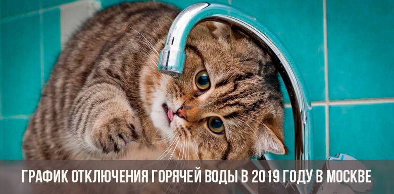 Отключение горячей воды в москве в 2022 году по адресу проживания (график): когда отключат гвс, актуальная информация моэк и сайта мэра столицы