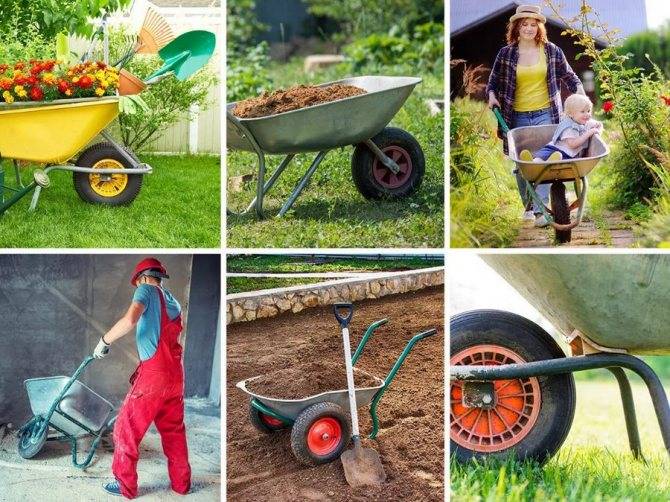 Садовая тачка - какой она должна быть? 110 фото лучших моделей для дачи и дома