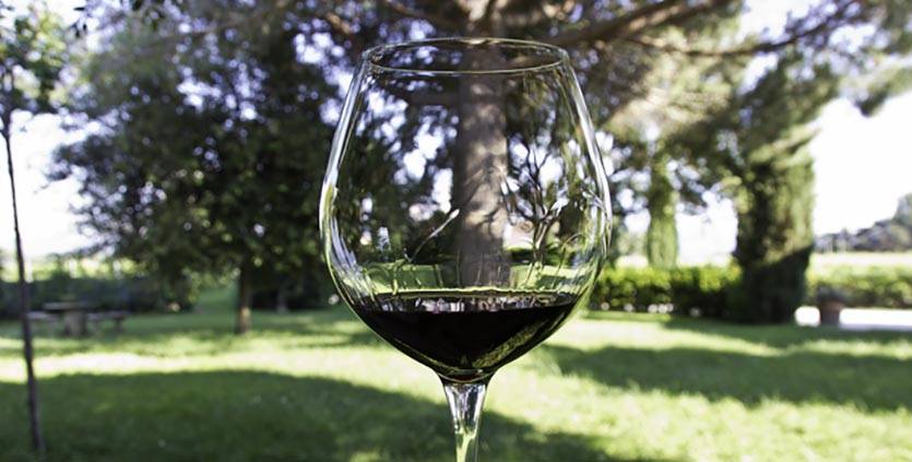 Несколько способов как проверить вино на натуральность, и определить является ли вино настоящим, а не порошковым.