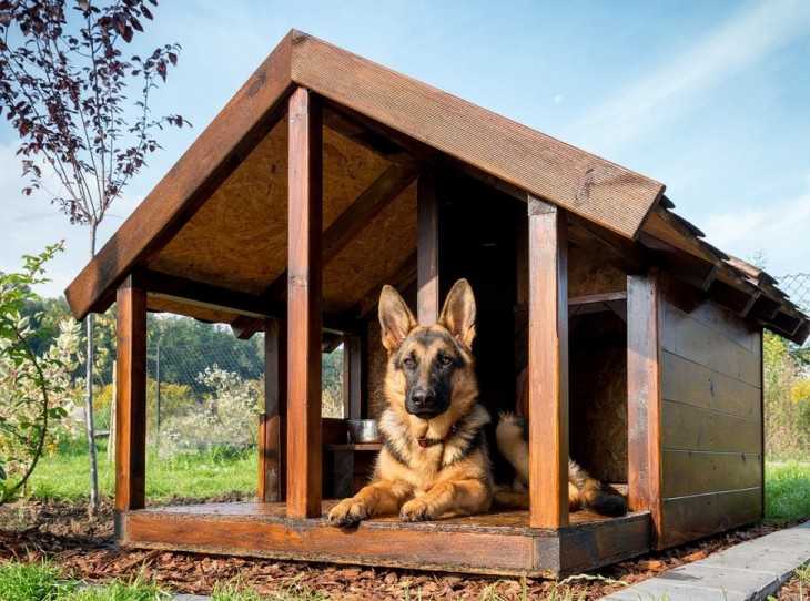 Как сделать будку для собаки своими руками: устройство жилища во дворе и в квартире. чертежи, размеры и оригинальные идеи (55+ фото & видео) +отзывы