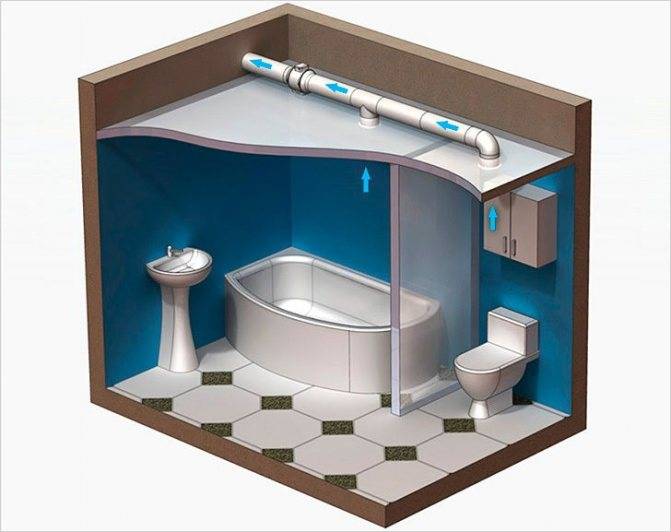 Вытяжка для ванной и туалета: правила проектирования и обустройства