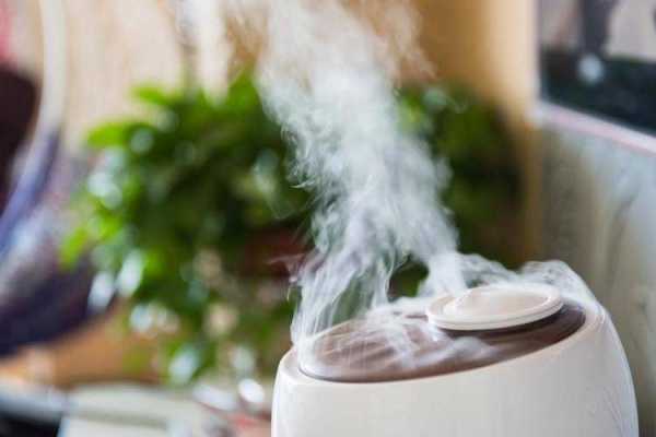 Как самостоятельно увлажнить воздух в квартире или офисе